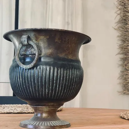 Spacious, Light & Cozy With Ocean Views Daire *